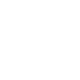 Ver Icon